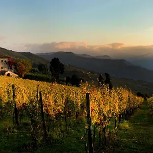 Fattoria Lavacchio Pontassieve